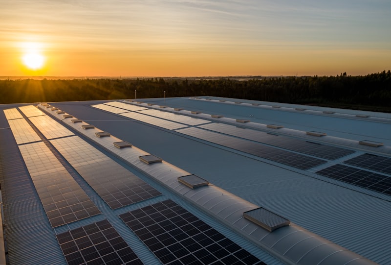Rows of solar panels backlit at sunset